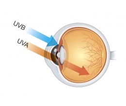 Цветные контактные линзы с защитой от ультрафиолетового излучения